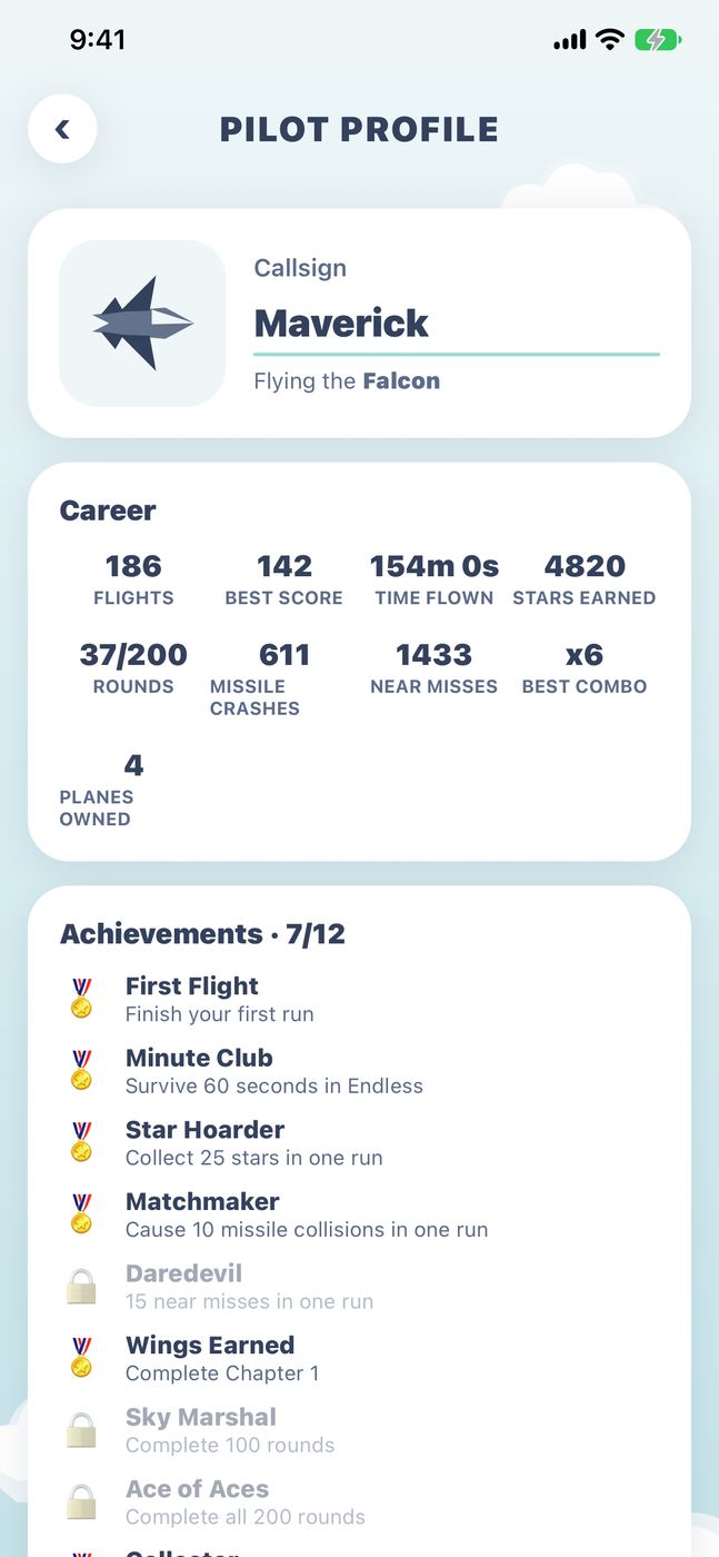 Your pilot profile and achievements.
