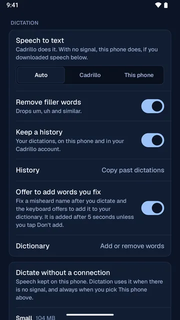 Dictation settings in the night theme