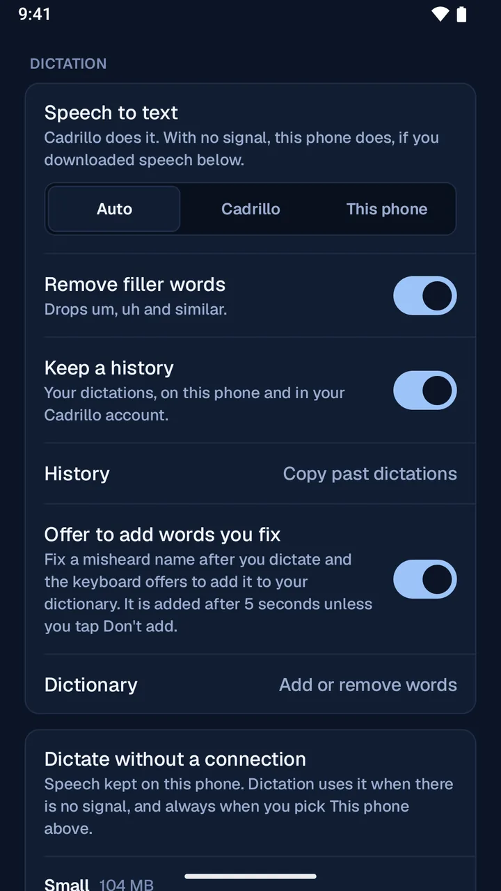Dictation settings: Speech to text set to Auto, Remove filler words, Keep a history and Offer to add words you fix